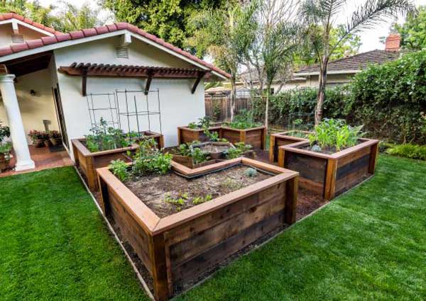 mental health benefits of gardening